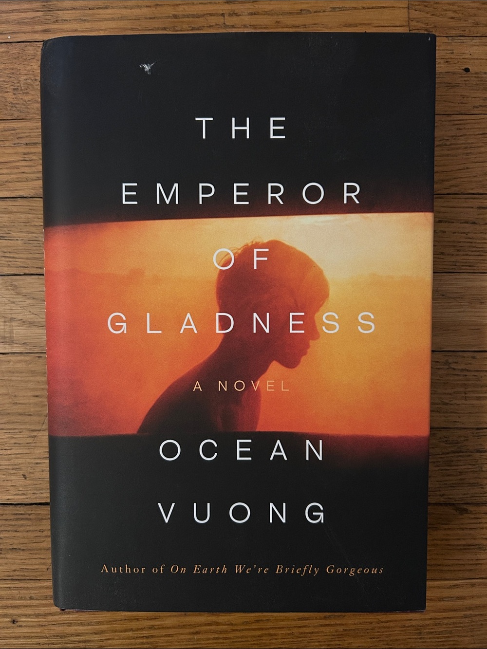 Hardcover book - the emperor of gladness - ocean vuong - botm - book club